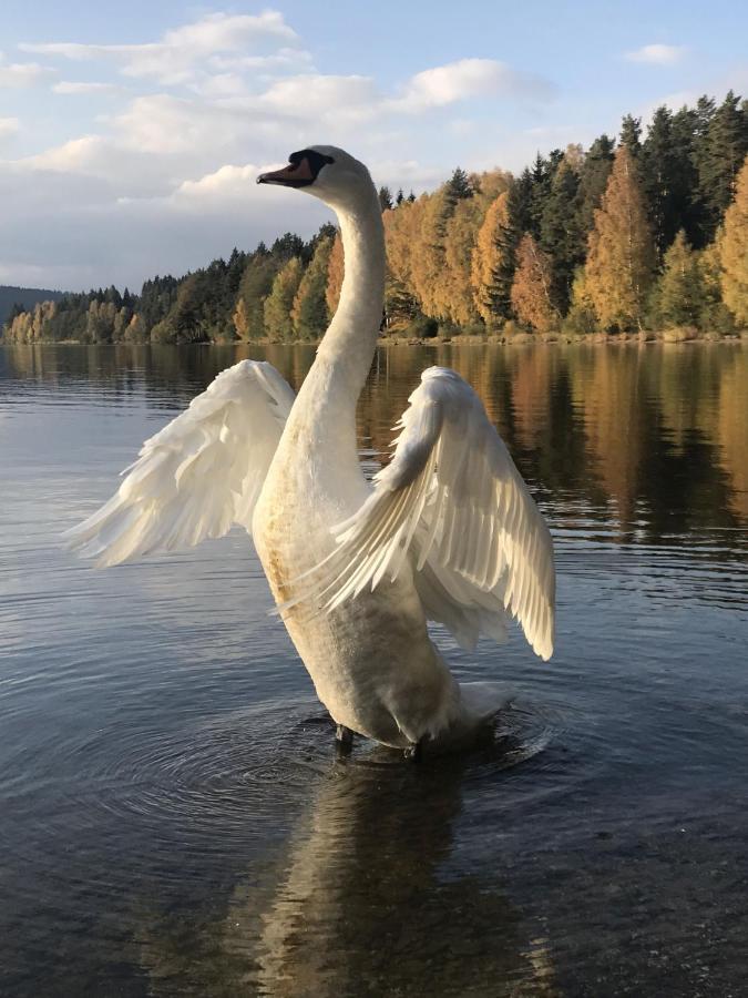 Dum Na Lipne Βίλα Lipno nad Vltavou Εξωτερικό φωτογραφία